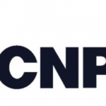 Обслуживание насосного оборудования CNP